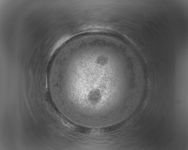 X0000085291267200703161440