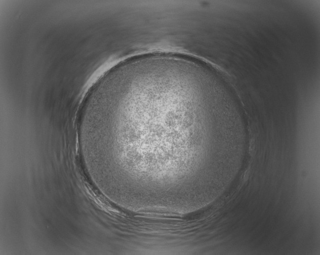 X0000085291271200703161440