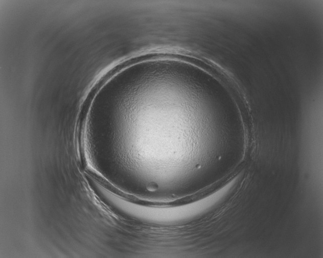 X0000085291272200703161440