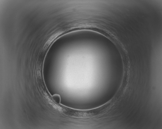 X0000085291273200703161440