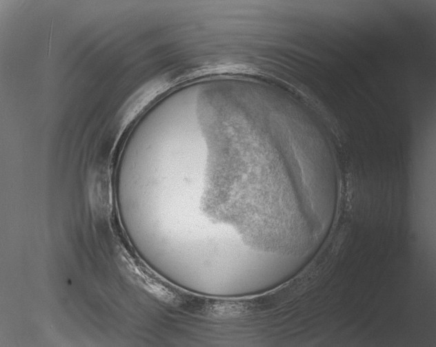 X0000085291274200703161440