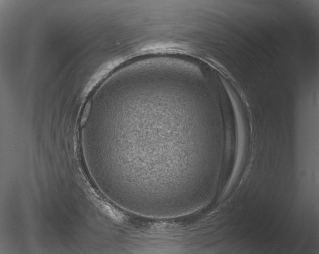 X0000085291277200703161440