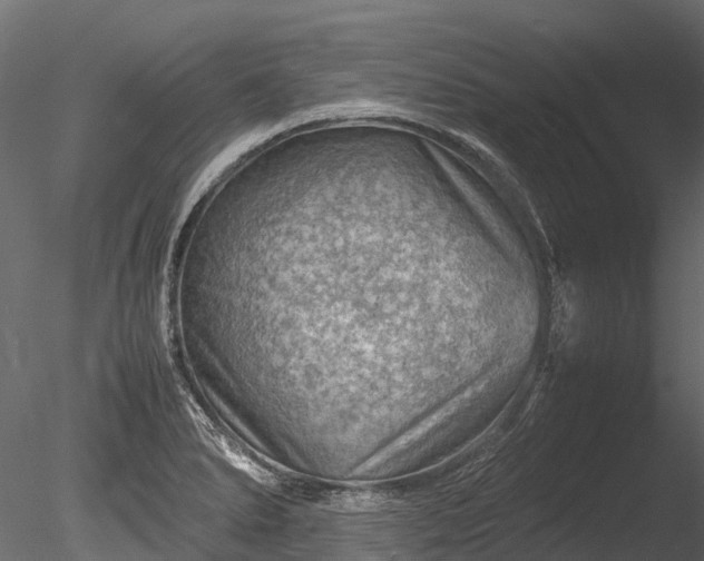 X0000085291278200703161440