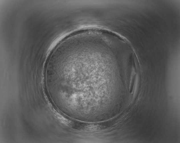 X0000085291279200703161440