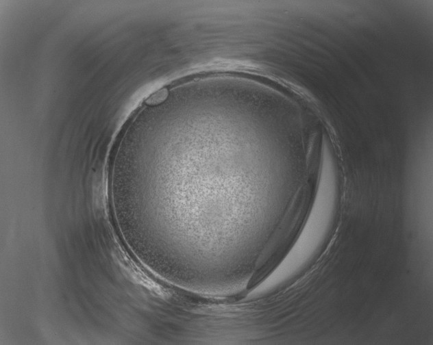 X0000085291280200703161440