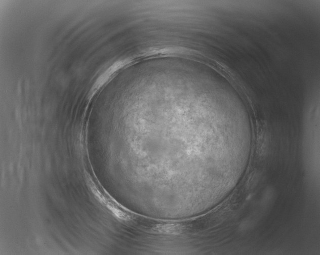 X0000085291282200703161440