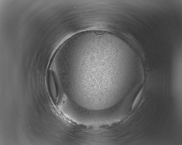 X0000085291284200703161440