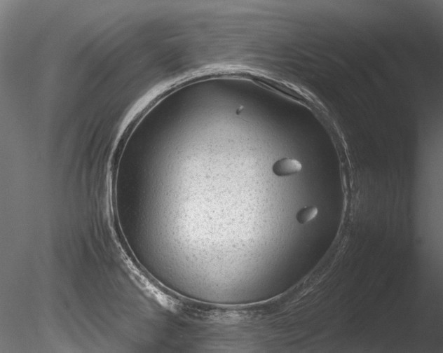 X0000085291286200703161440