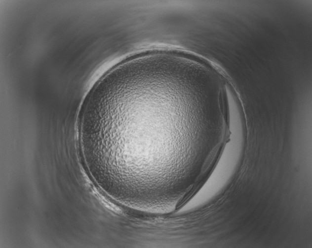 X0000085291287200703161440