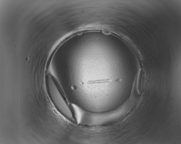 X0000085291288200703161440