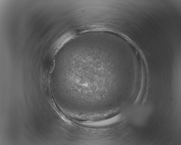 X0000085291289200703161440