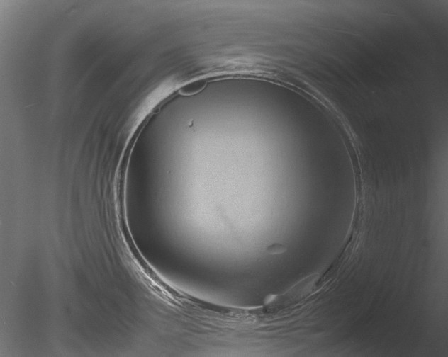 X0000085291291200703161440