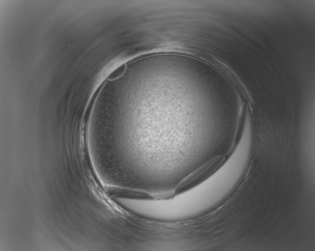 X0000085291292200703161440