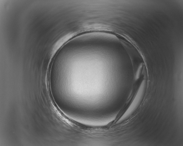 X0000085291293200703161440