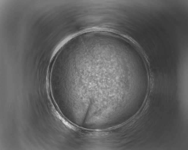 X0000085291294200703161440