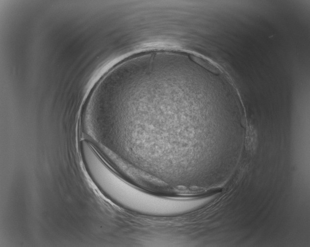 X0000085291295200703161440