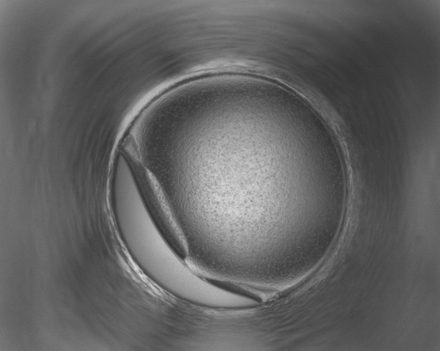 X0000085291296200703161440