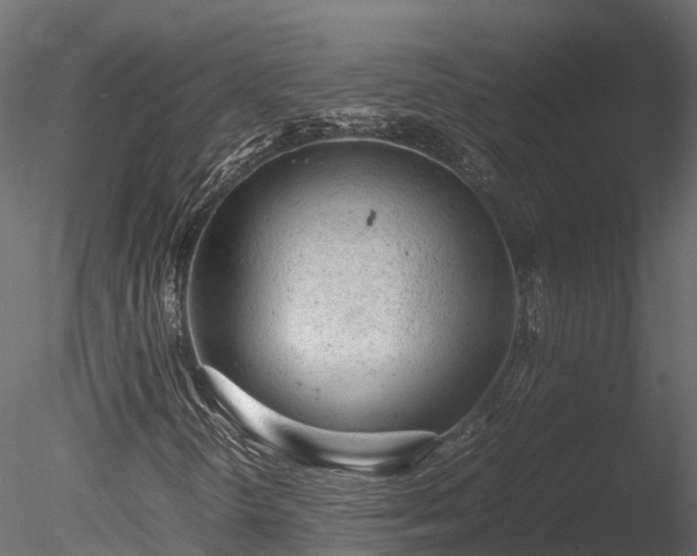 X0000085291298200703161439