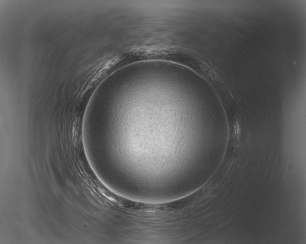 X0000085291300200703161439