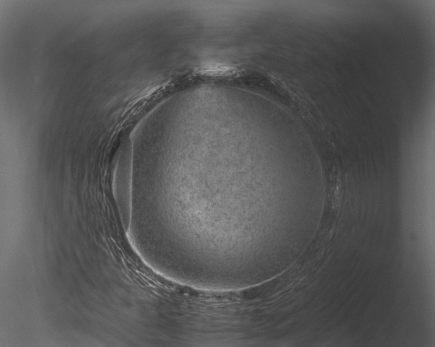 X0000085291301200703161439