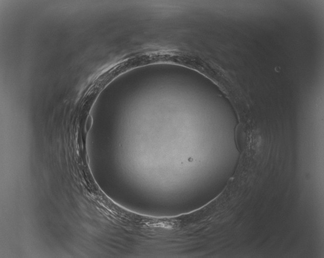 X0000085291303200703161439