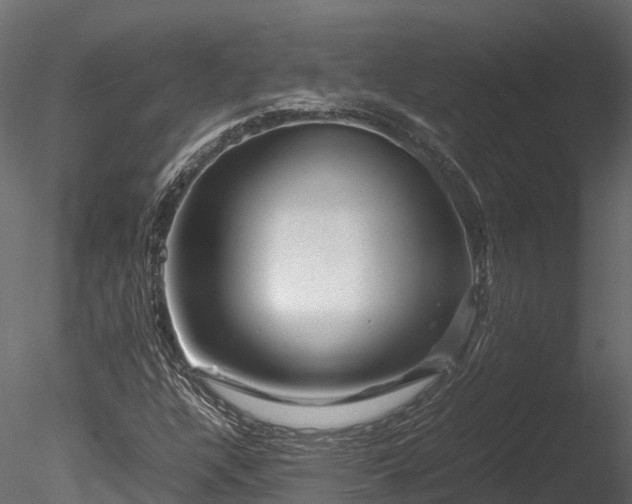 X0000085291304200703161439