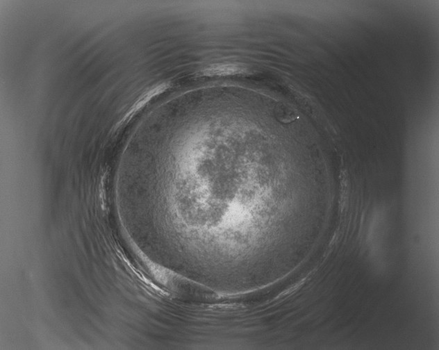 X0000085291305200703161439