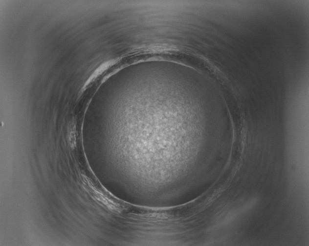 X0000085291306200703161439