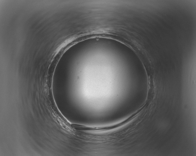 X0000085291308200703161439