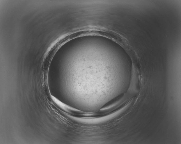 X0000085291310200703161439