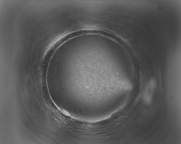 X0000085291311200703161439