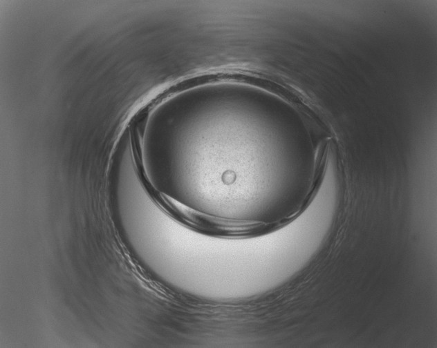 X0000085291316200703161439