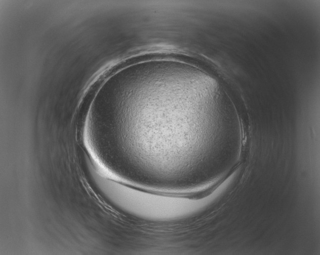 X0000085291318200703161439