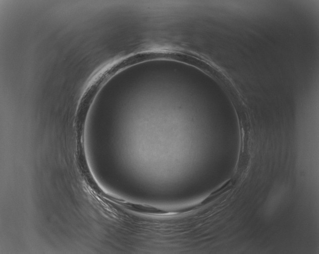 X0000085291319200703161439