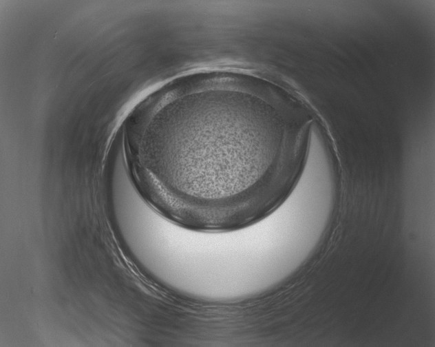 X0000085291320200703161439