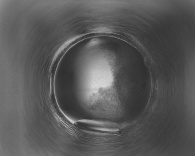 X0000085291323200703161439