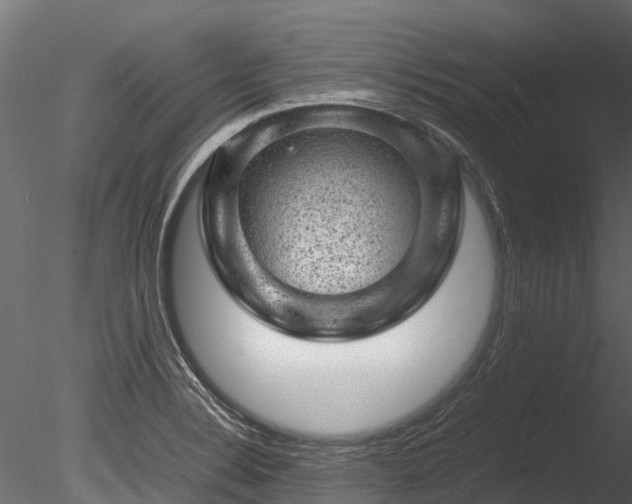 X0000085291324200703161439