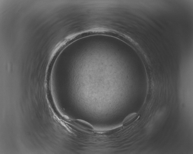 X0000085291327200703161440