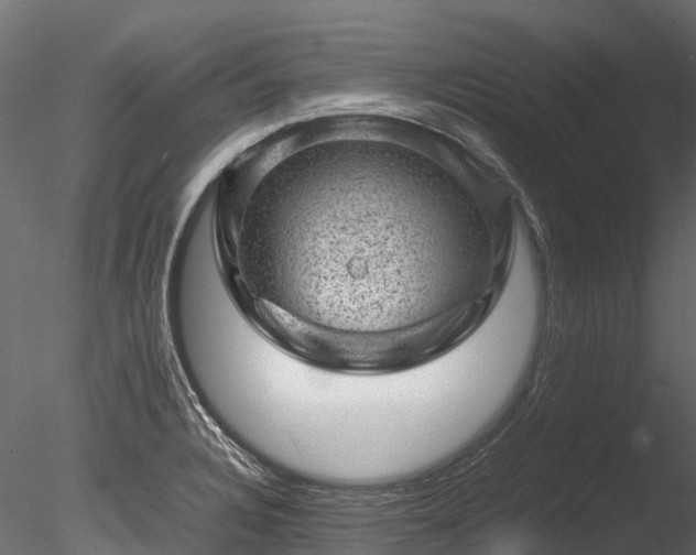 X0000085291328200703161440