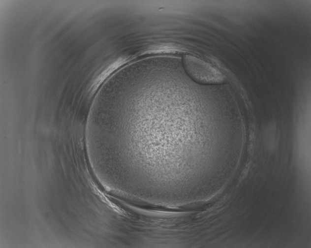 X0000085291329200703161440