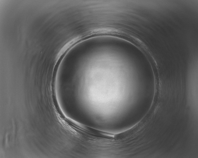 X0000085291330200703161440