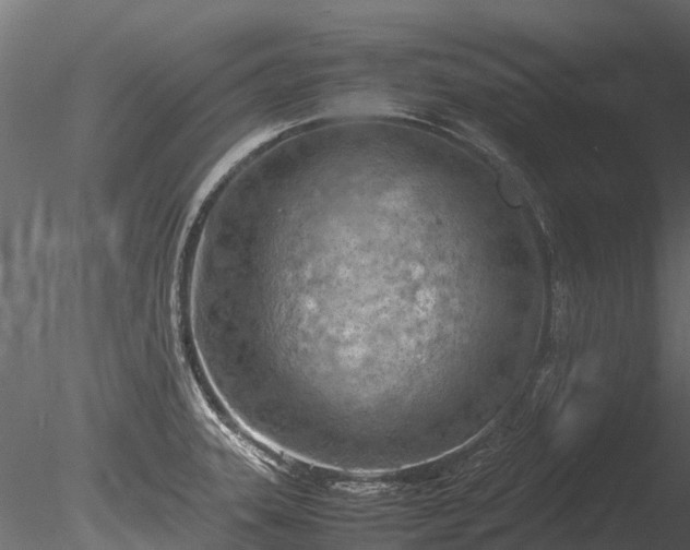 X0000085291331200703161440