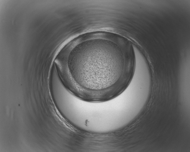 X0000085291332200703161440