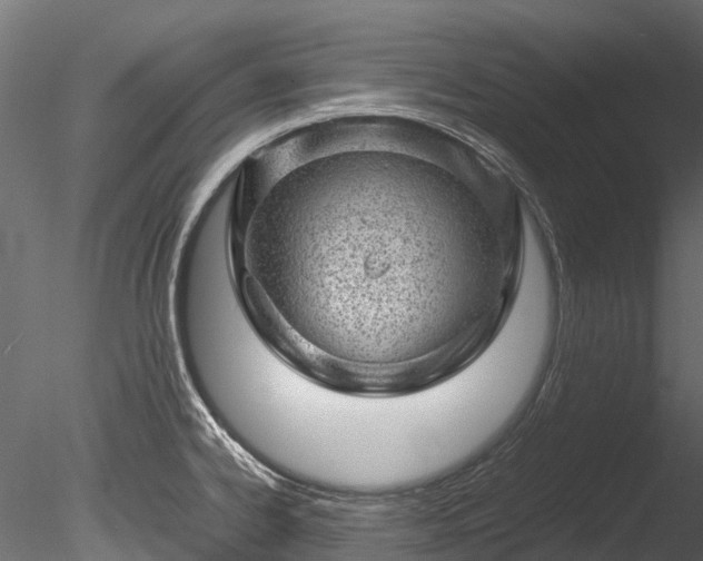 X0000085291334200703161440