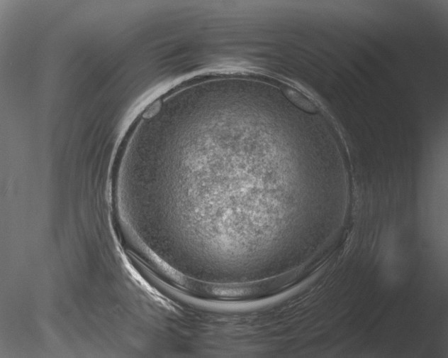 X0000085291335200703161440