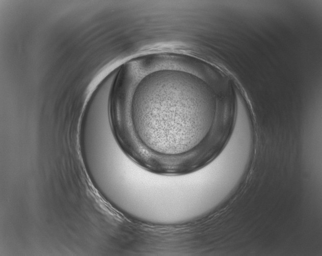 X0000085291336200703161440