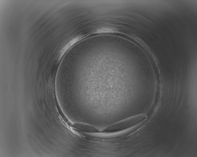 X0000085291337200703161440