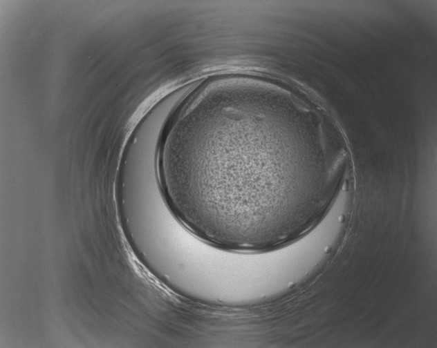 X0000085291338200703161440