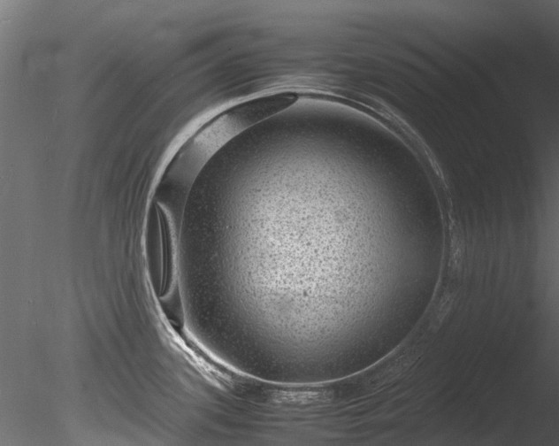 X0000085291339200703161440