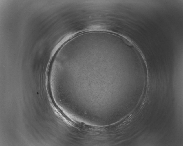 X0000085291341200703161440